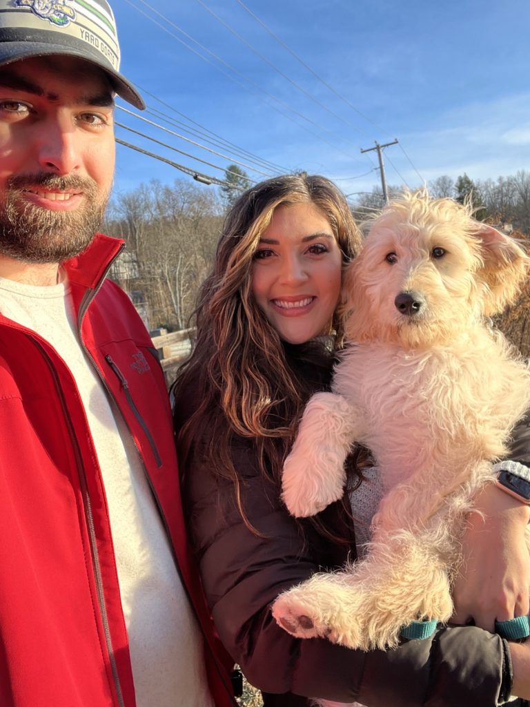 cute goldendoodle puppy