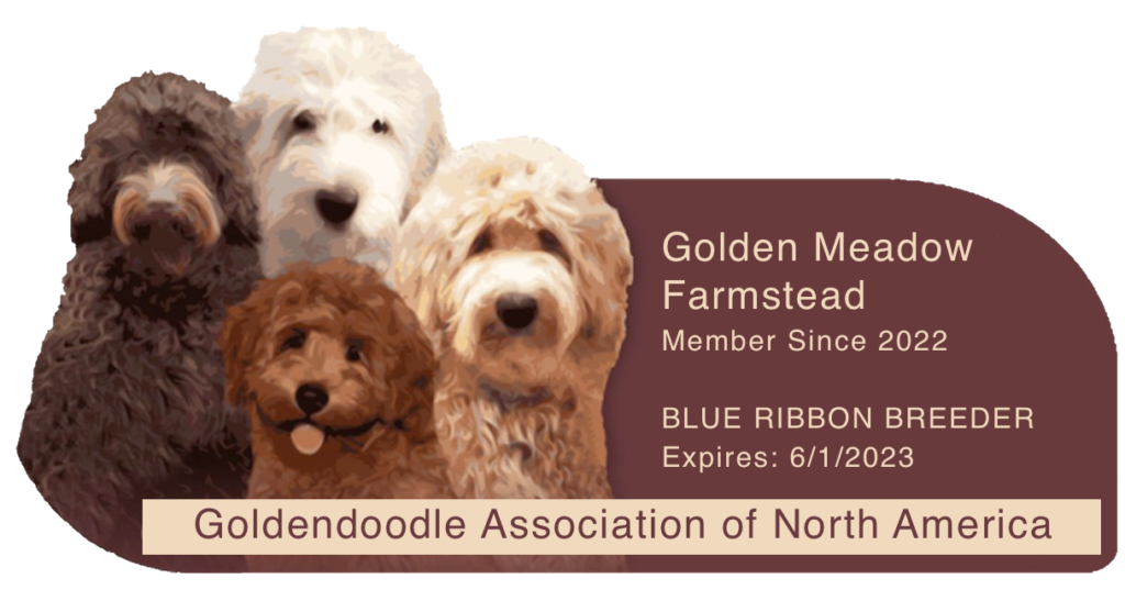 Blue Ribbon Breeder with Goldendoodle Association of North America
