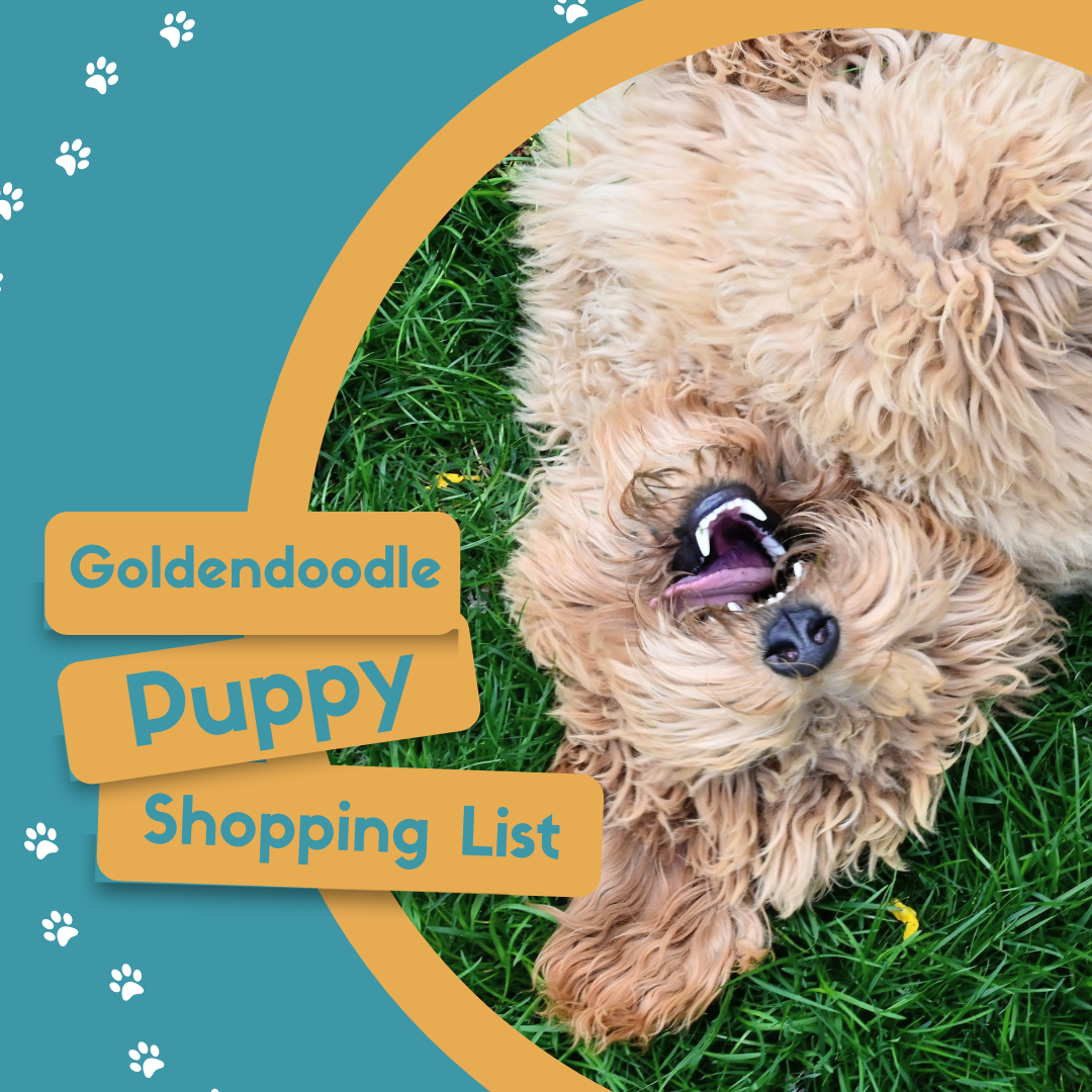 Goldendoodle Puppy Shopping List